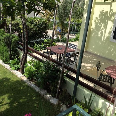 Apartments Simo Petrovac المظهر الخارجي الصورة