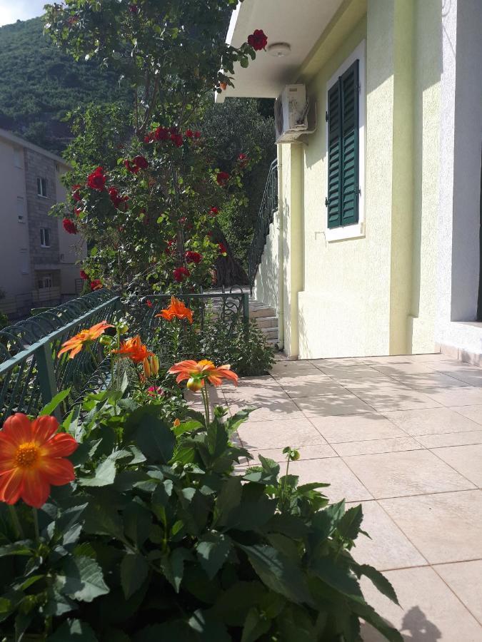 Apartments Simo Petrovac المظهر الخارجي الصورة