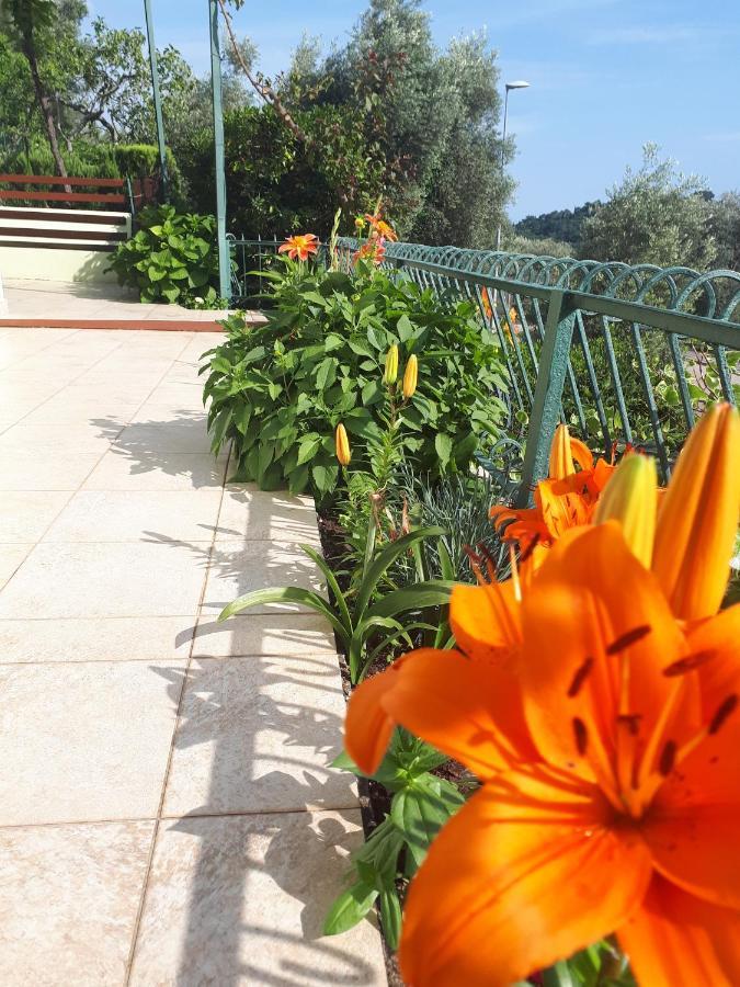 Apartments Simo Petrovac المظهر الخارجي الصورة