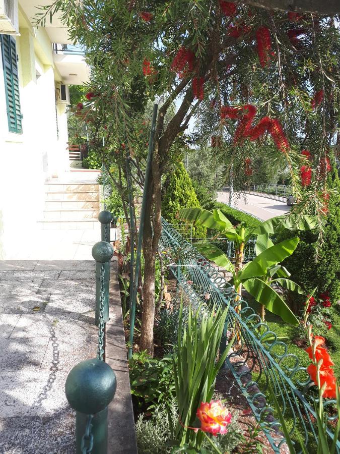 Apartments Simo Petrovac المظهر الخارجي الصورة