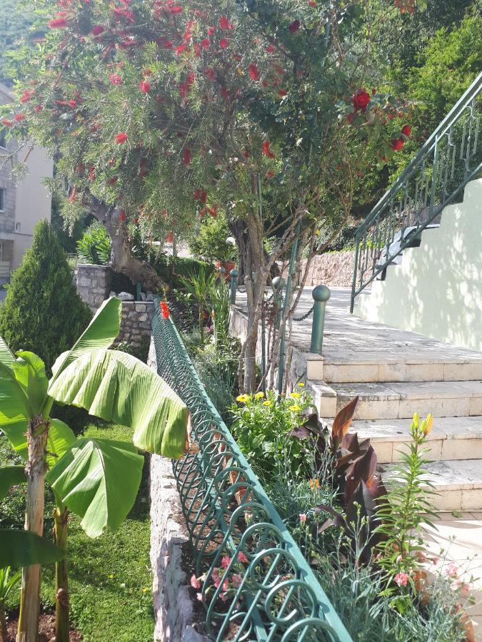 Apartments Simo Petrovac المظهر الخارجي الصورة