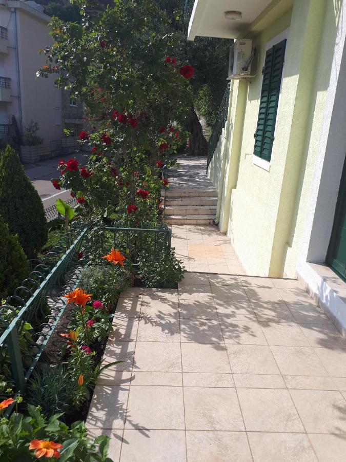 Apartments Simo Petrovac المظهر الخارجي الصورة