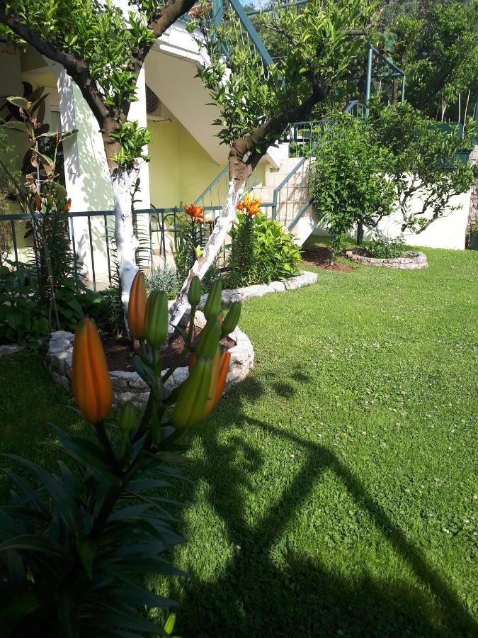 Apartments Simo Petrovac المظهر الخارجي الصورة