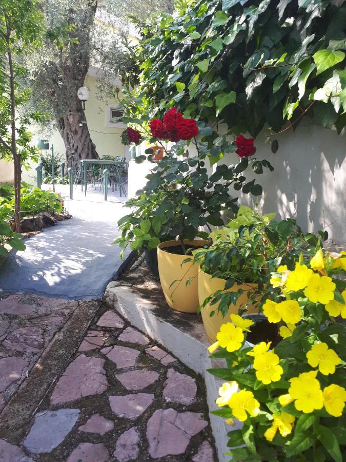 Apartments Simo Petrovac المظهر الخارجي الصورة