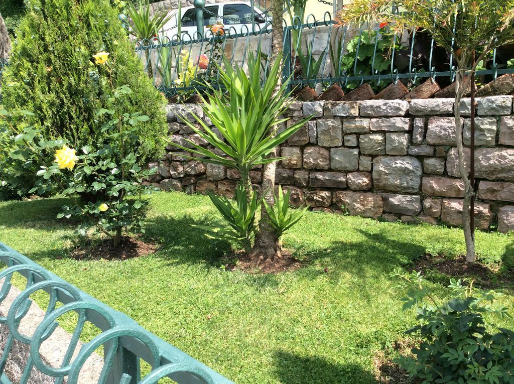 Apartments Simo Petrovac المظهر الخارجي الصورة
