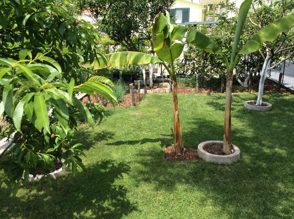 Apartments Simo Petrovac المظهر الخارجي الصورة
