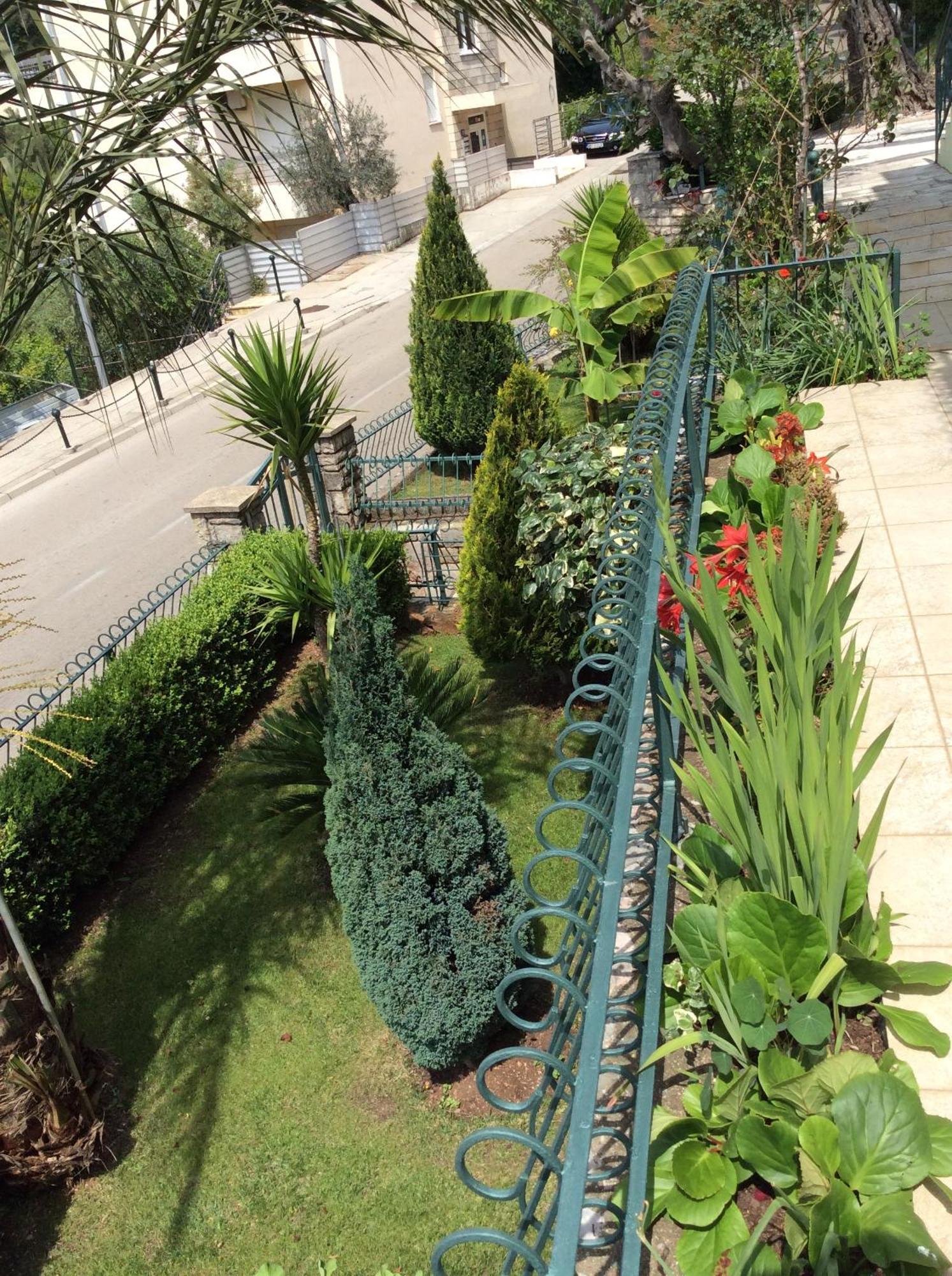Apartments Simo Petrovac المظهر الخارجي الصورة
