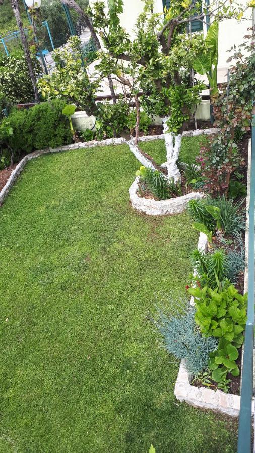 Apartments Simo Petrovac المظهر الخارجي الصورة