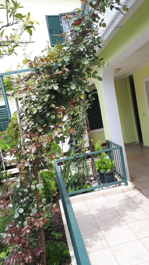 Apartments Simo Petrovac المظهر الخارجي الصورة