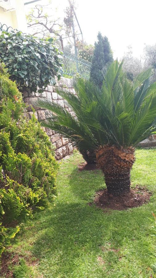 Apartments Simo Petrovac المظهر الخارجي الصورة