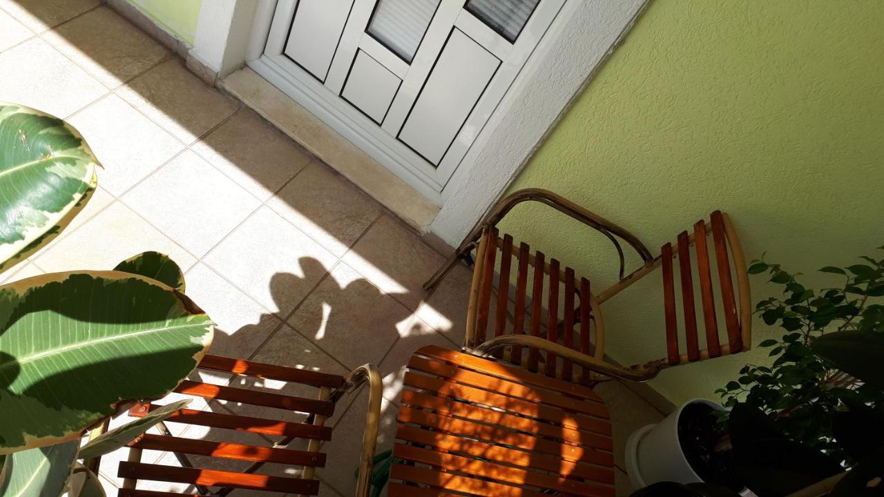 Apartments Simo Petrovac المظهر الخارجي الصورة